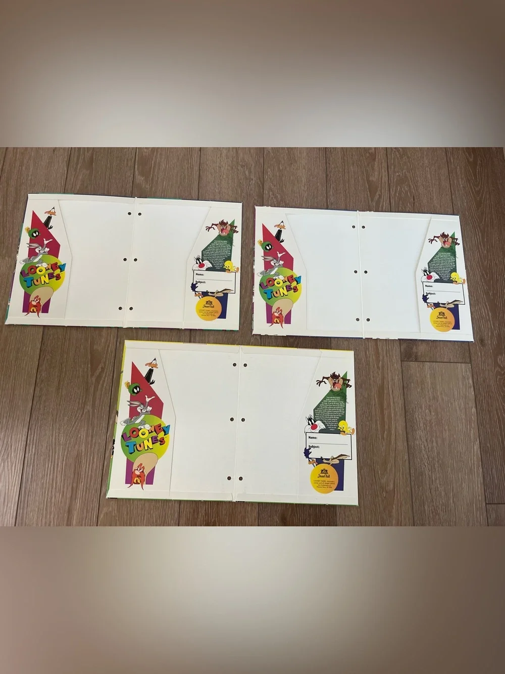 Vintage Looney Tunes magic eye 3D two pocket portfolio folder bundle 2 hole